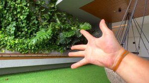 топ 5 фокусов без подготовки