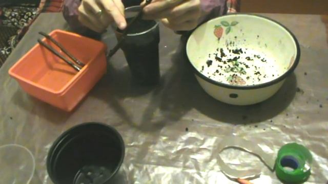 Сажам черенки поречки 1 смотреть онлайн