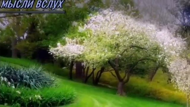 7 Самвел Ад,как долго сохранят память о нем?Девочка Таня смогла))Ждите,терпилы,а ей это ни к чему. смотреть онлайн