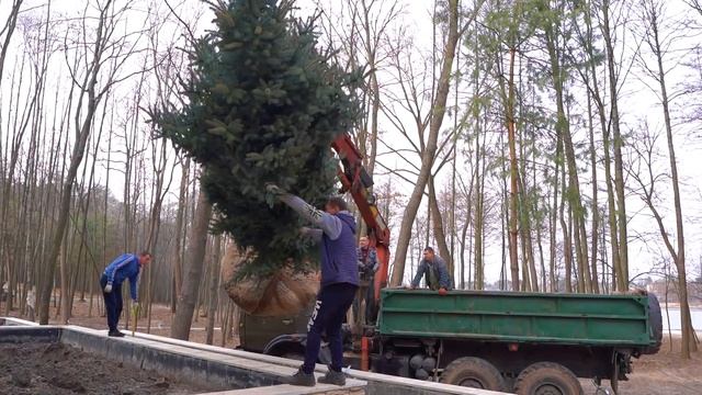 Роскошный сад за 2 недели. Посадка крупномеров - Блог #68 смотреть онлайн