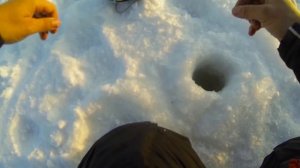 Зимняя рыбалка.Окунь на безмотылку .УЛОВИСТАЯ КОЗА КОСИТ ОКУНЕЙ