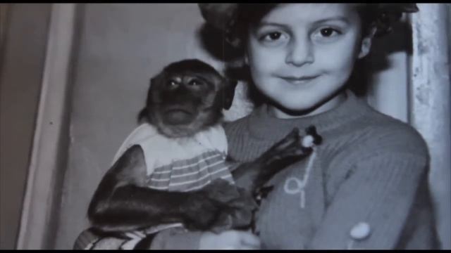 История по фотографиям смотреть онлайн