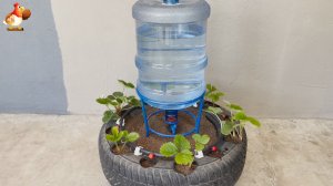 Клубника в колесе и автополив сверху из бутыли от кулера