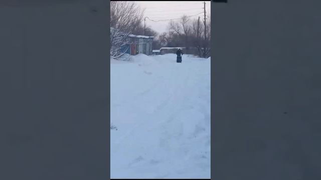 мото собака