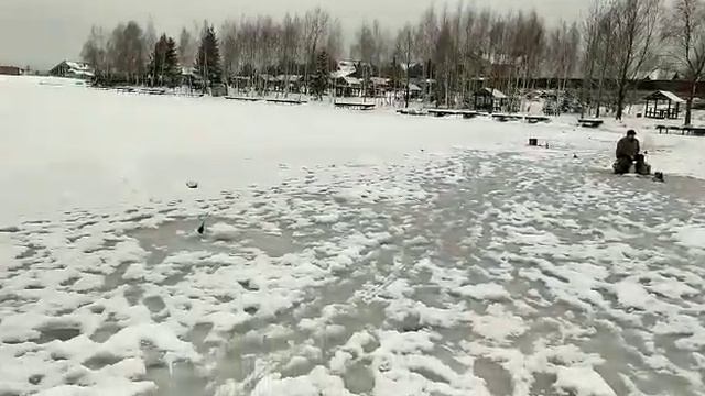 Чаша 2020 02 01 смотреть онлайн