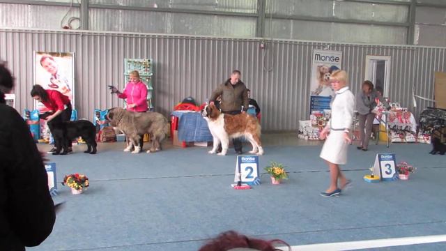 BIG, 2 группа 03-03-2018 Саратов САС смотреть онлайн