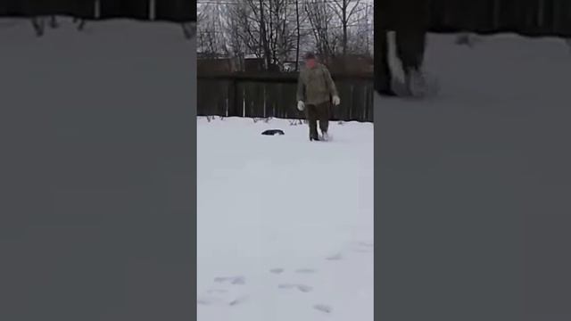 Выдра Степка