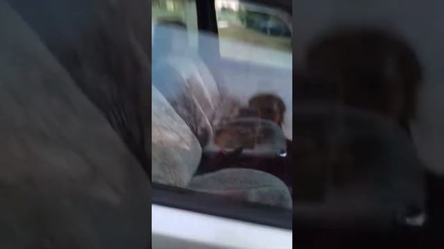 Рахинка румтур смотреть онлайн