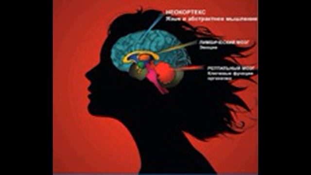 Большой женский курс осознанного счастья. Урок 2. Шаг 1 смотреть онлайн