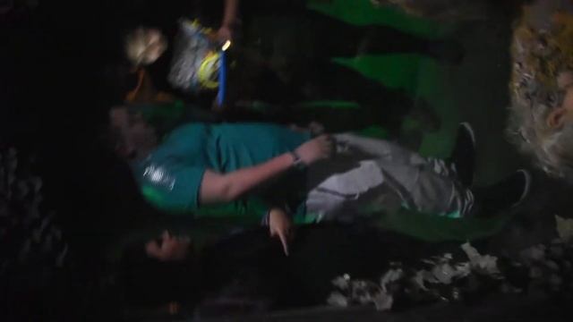 Wisconsin Dells Wizard Quest Walkthrough смотреть онлайн