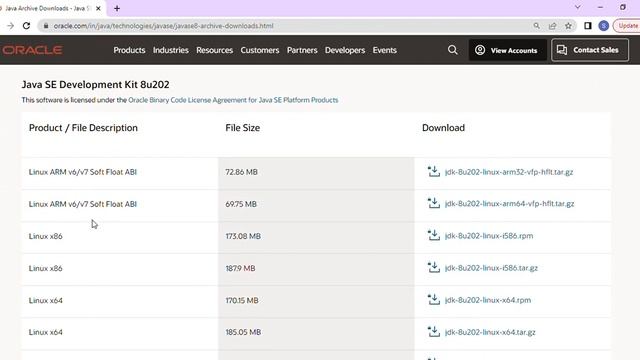 Setup java in windows system смотреть онлайн