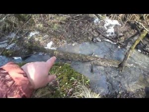 Как и где мыть золото в ручье!!!