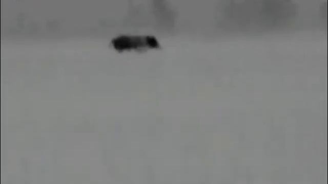 Part 2. Big boar hunting,pulsar helion смотреть онлайн