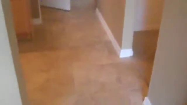 3290 Magnolia Petal Ct, Clermont, FL 34711 смотреть онлайн