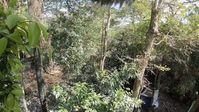 Bird Sanctuary Tour in Vietnam - The Can Tho Country side смотреть онлайн