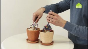 Лайфхаки для дачи