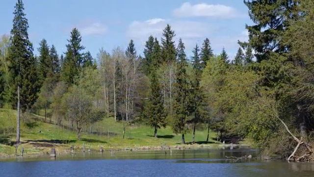 ВЕСЕННЕЕ НАСТРОЕНИЕ.wmv смотреть онлайн