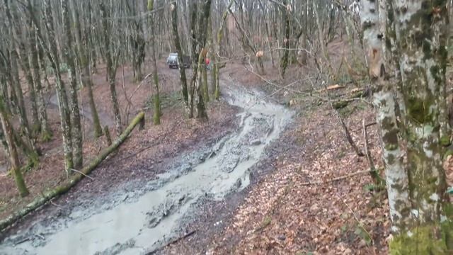 головастик зверь ч2. полное видео. смотреть онлайн
