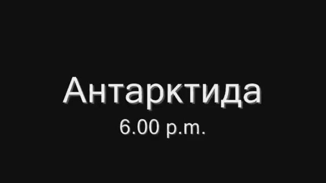 Из жизни королевских пингвинов смотреть онлайн
