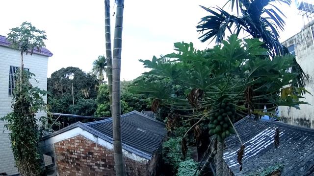 village time lapse, Haitang Bay Sanya China 2018 May смотреть онлайн