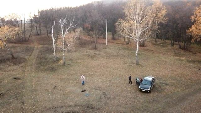 Осень Березовая роща смотреть онлайн