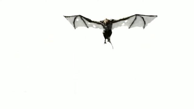 WHITE SCREEN CGI | DRAGON | RAW SAMPLE VIDEO | 1080HD FR 30 fps смотреть онлайн