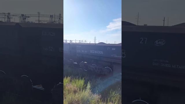 ТЭМ-2