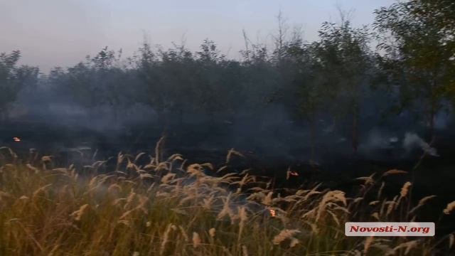 Видео Новости-N: Горит Балабановский лес смотреть онлайн