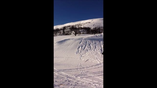 Ski Pro Tricks! смотреть онлайн