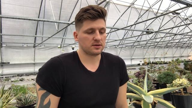 Как правильно отделять детки Эчеверий и компании смотреть онлайн
