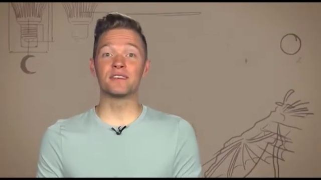 А вы знаете? Обоняние и слух у собак смотреть онлайн