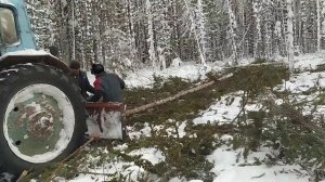 МТЗ-82 на трелевке леса .