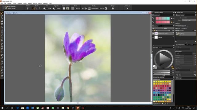 Corel Painter 2020. Рисуем цветок за 9 минут. We draw a flower in 9 minutes. смотреть онлайн