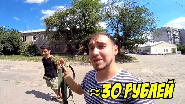 СОБАКИ В БОЛЬНИЦЕ! хаски и маламут путешествуют