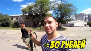 СОБАКИ В БОЛЬНИЦЕ! хаски и маламут путешествуют