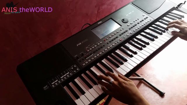 Korg Styles The Best OF Korg Pa 600 [KORG]