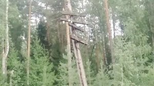 Поиски самых редко встречающихся изоляторов России//Insulator Hunting//