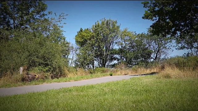 Tomason tn16 Black painted , Ford C-Max смотреть онлайн