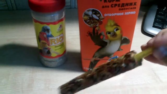 Как правильно ухаживать за попугаем. смотреть онлайн