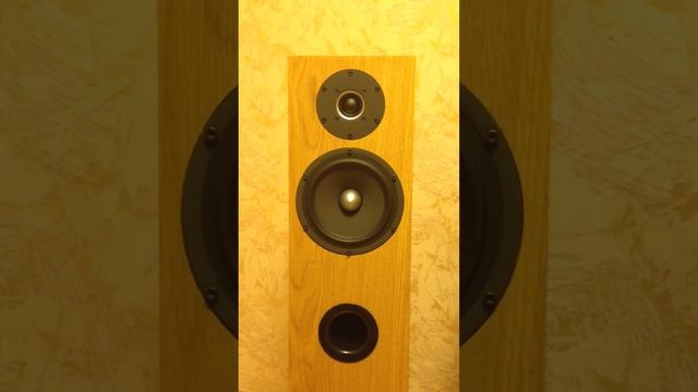 DIY Speakers CNO mk2 (Chris Jones - Long After You're Gone) смотреть онлайн