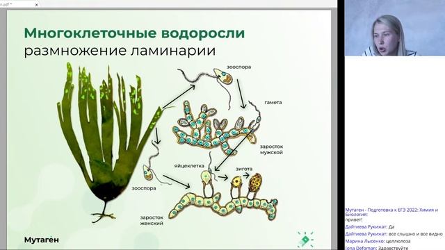 Летний курс 