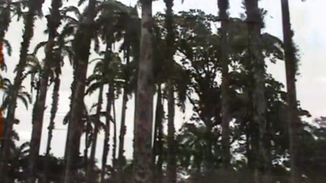 Puerto Limon movie смотреть онлайн