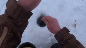 Рыбалка на безмотылку. Плотва на гвоздешарик. Зимняя рыбалка.