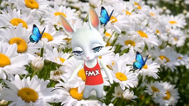 Май! Поздравление с Днем рождения родившимся в мае! Поздравляю с майским днем рожденья! смотреть онлайн