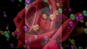 Ирина Аллегрова "С Днем рождения" #аллегрова #иринааллегрова #сднемрождения #деньрождения