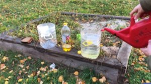 ✅МЫШЕЛОВКА своими руками эффективная ловушка для мышей из подручных средств пластиковой бутылки дач