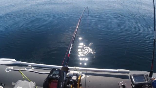 Рыбалка на камбалу !..Японское море 02.10.2021. смотреть онлайн