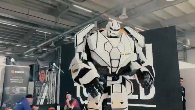 Талия Миннулина пригласила Илона Маска в Татарстан смотреть онлайн