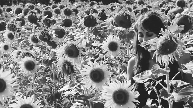 Элвин Грей смотреть онлайн