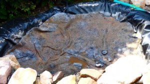 Cоздание ручья в деталях, руководство от А до Я, ручей в саду своими руками, украшение сада